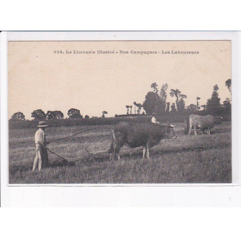 HAUTE-VIENNE: nos campagnes, les laboureurs, boeufs - très bon état