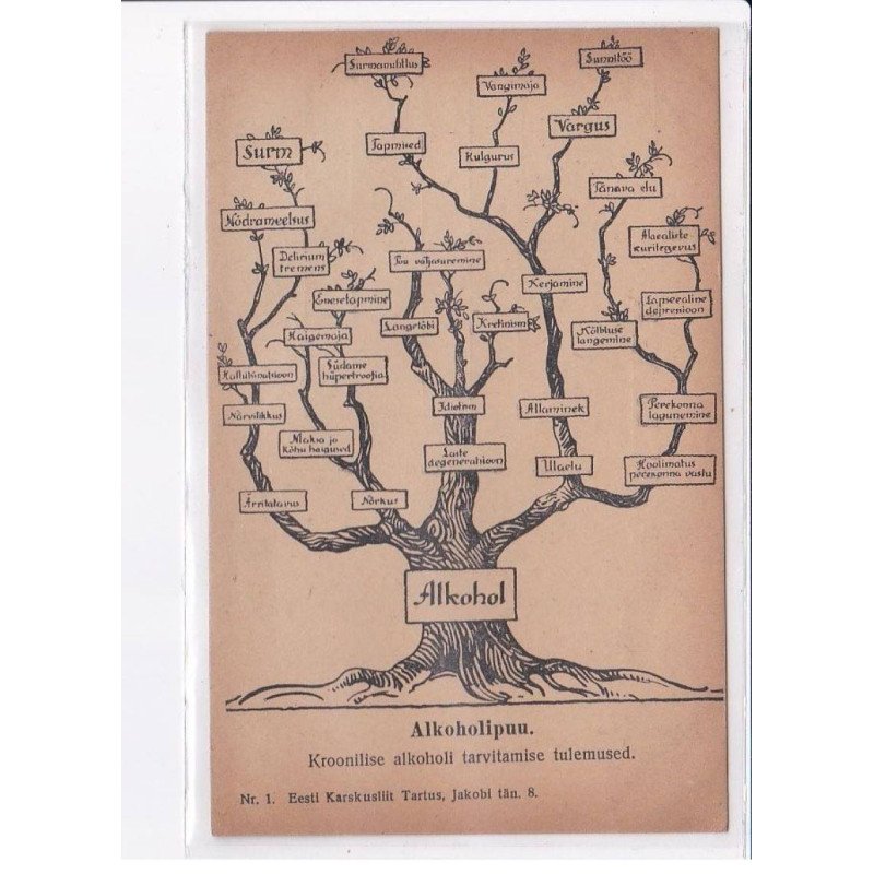 ALCOOL: alkohol, kroonilise alkoholi tarvitamise tulemused - très bon état