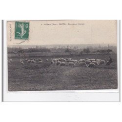 CROTH : moutons au paturage - tres bon etat
