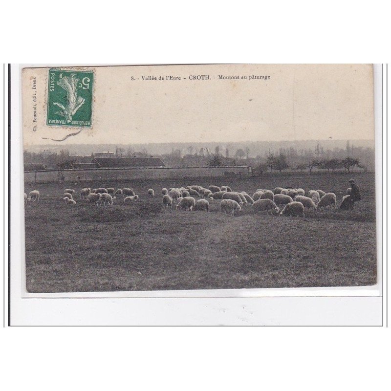 CROTH : moutons au paturage - tres bon etat