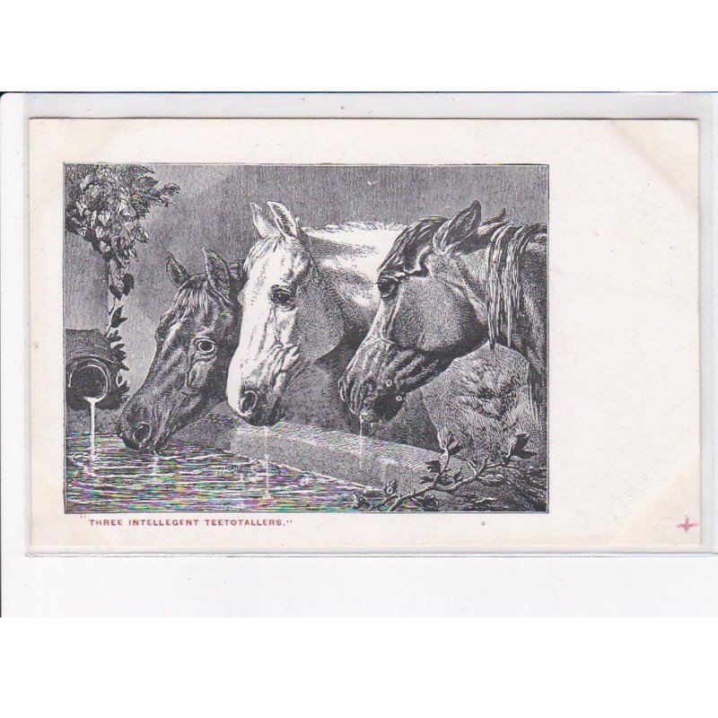 ALCOOL: "three intellegent teetotallers" chevaux