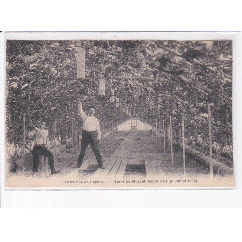 AISNE: forceries de l'aisne, serre de muscat canon hall 1906 - état