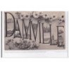 DAMVILLE : carte souvenir - tres bon etat