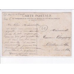 LOIR ET CHER: aviculture, poule - très bon état