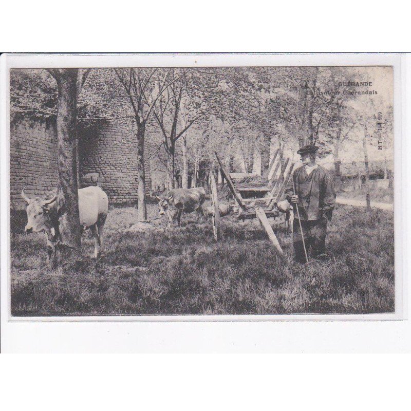 GUERANDE: cultivateur guérandais, boeuf - très bon état