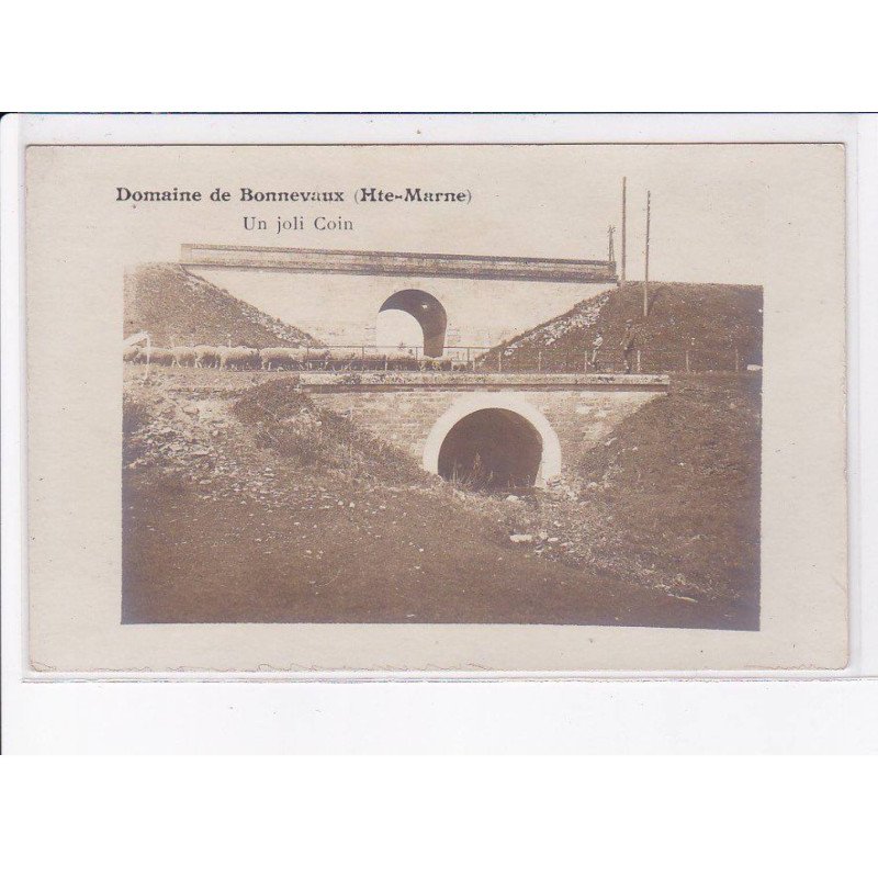 BONNEVAUX: domaine, un joli coin, berger - très bon état