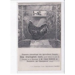 DOMPIERRE: concours international des agriculteurs français coq orpington noir - très bon état