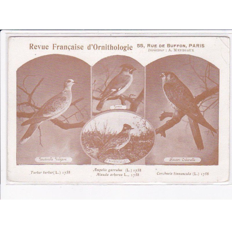 PARIS: 75005, revue française d'ornithologie, oiseaux - état