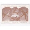 PARIS: 75005, revue française d'ornithologie, oiseaux - état