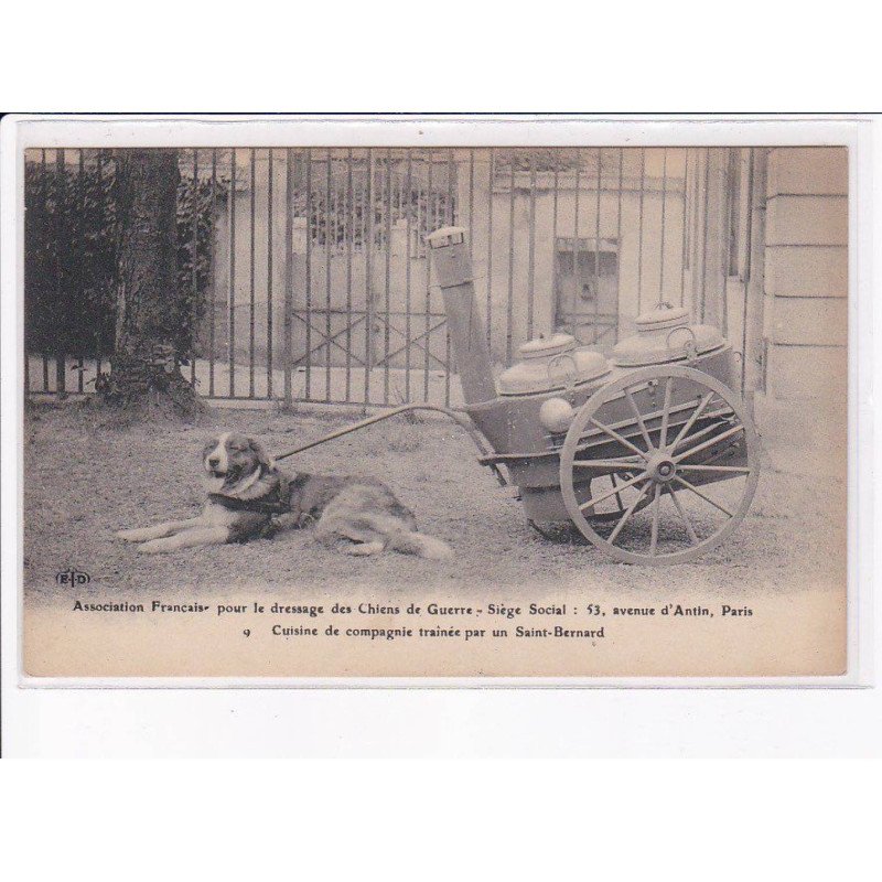 PARIS: voiture à chien, association français pour le dressage des chiens de guerre - très bon état