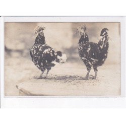 DRAGUIGNAN: aviculture, deux coqs - très bon état