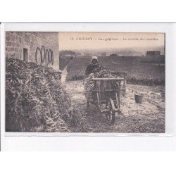 CROISSY: les gabillons, la récolte des carottes - très bon état