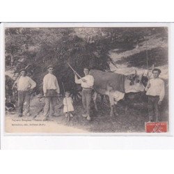 PYRENEES-ATLANTIQUES: paysans basques, retour du touya, boeuf, fenaisons, agriculture - très bon état