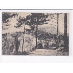 UKRAINE: : en forêt - état décollée unglued