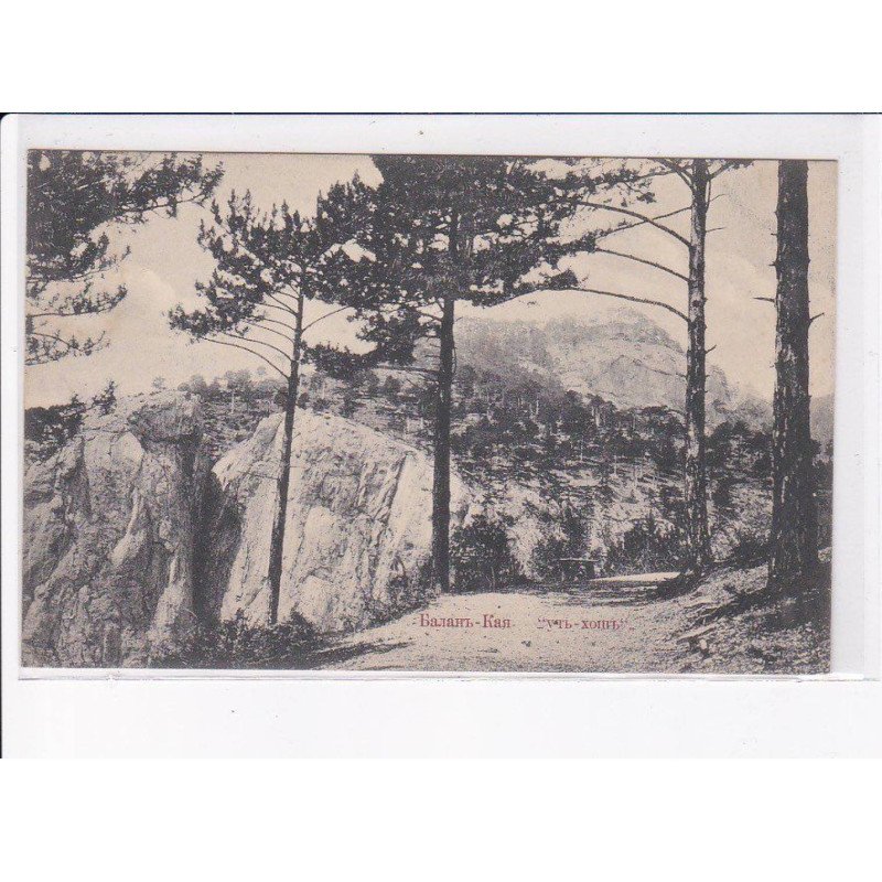 UKRAINE: : en forêt - état décollée unglued