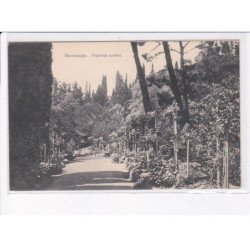 UKRAINE: : jardin - état décollée unglued