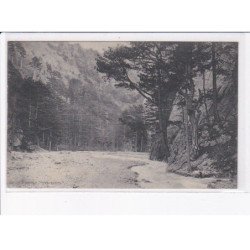 UKRAINE: : rivière et forêt - état décollée unglued