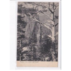 UKRAINE: : en forêt - état décollée unglued