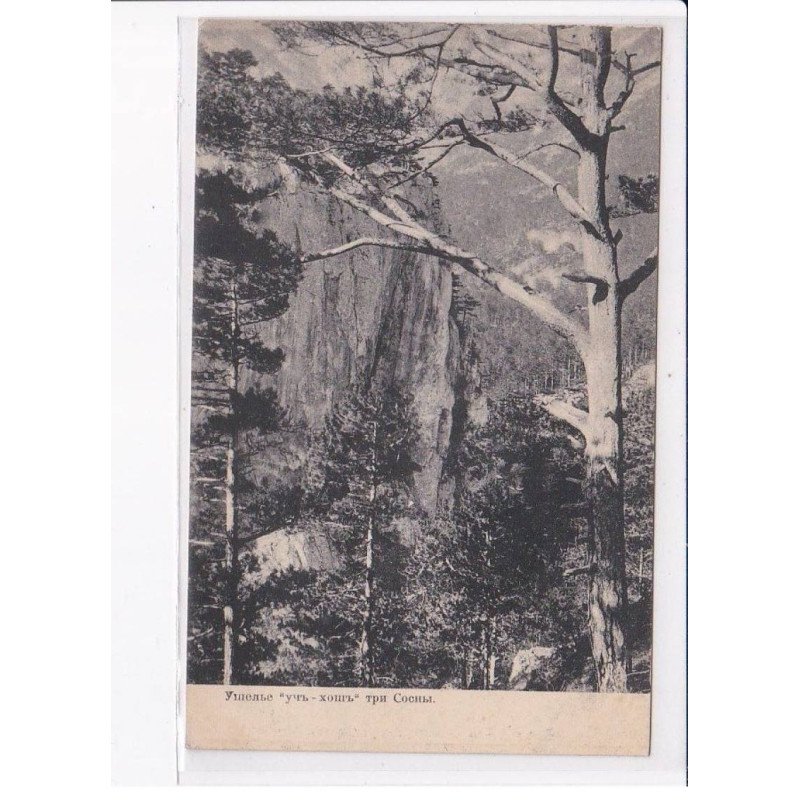 UKRAINE: : en forêt - état décollée unglued