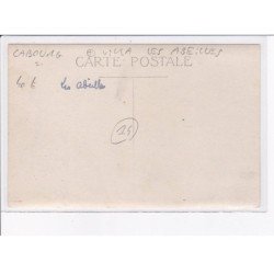 CABOURG: villa les abeilles - très bon état