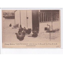 LA PENNE : elevage moderne "les pivoines" arrêt du tram "la bourgade", australorps - très bon état