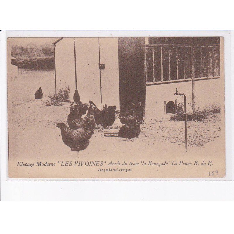 LA PENNE : elevage moderne "les pivoines" arrêt du tram "la bourgade", australorps - très bon état