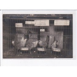 SAINTE-HONORINE-le-GUILLAUME: elevage du bois de la mousse, coq - très bon état
