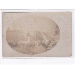 environs TOULOUSE: aviculture, poule, poulet, coq - état