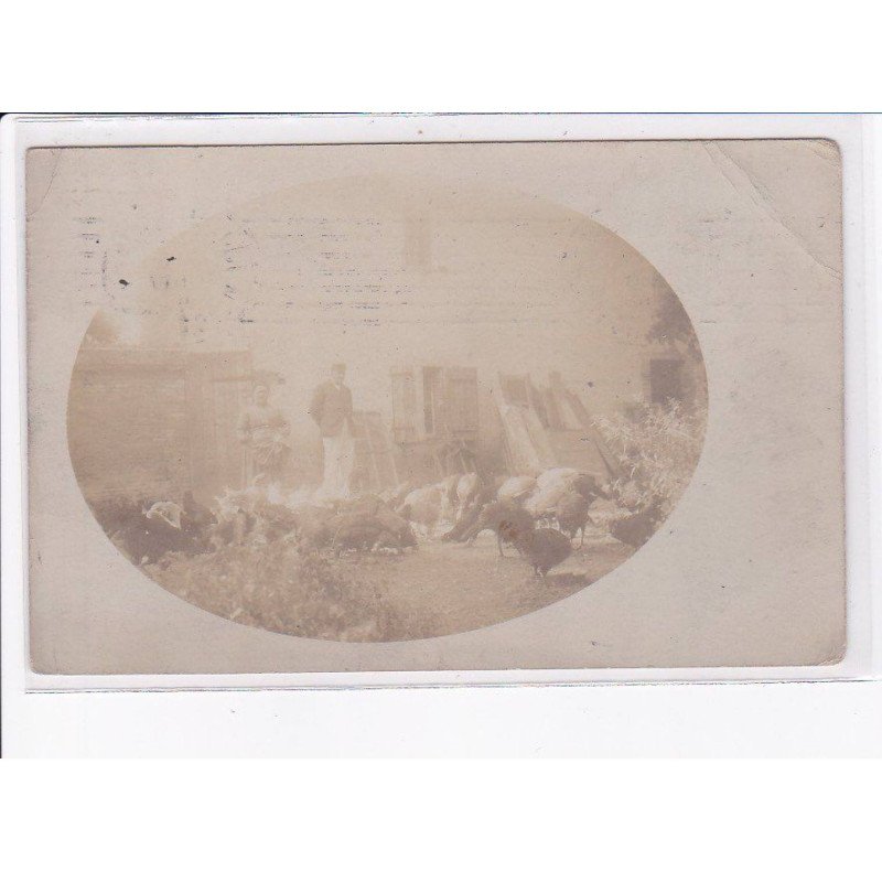 environs TOULOUSE: aviculture, poule, poulet, coq - état