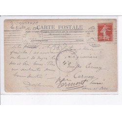 environs TOULOUSE: aviculture, poule, poulet, coq - état