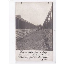 ROUBAIX: carte photo d'un coqueleur - elevage de coq combat - lot de 3CPA - très bon état