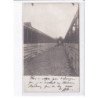 ROUBAIX: carte photo d'un coqueleur - elevage de coq combat - lot de 3CPA - très bon état