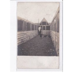 ROUBAIX: carte photo d'un coqueleur - elevage de coq combat - lot de 3CPA - très bon état