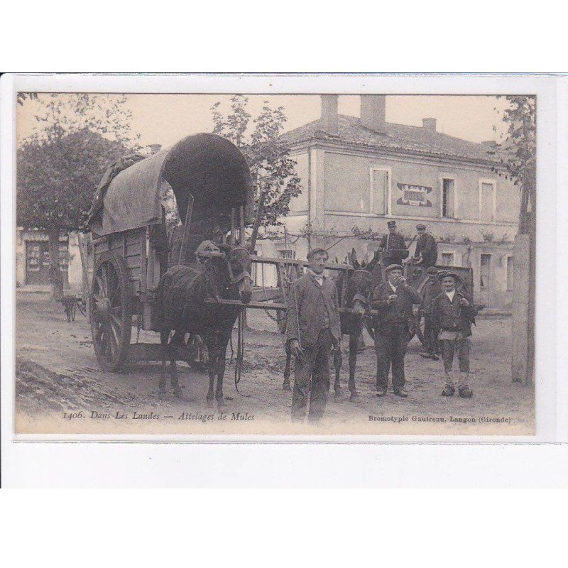 LANDES: dans les landes, attelages de mules - très bon état