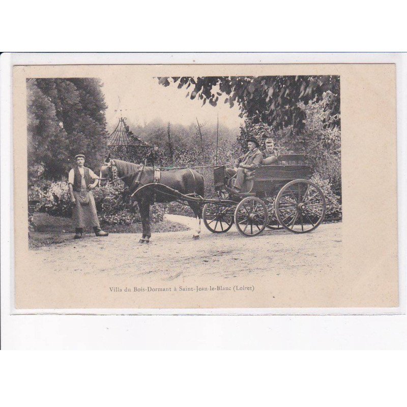 SAINT-JEAN-le-BLANC: villa du bois-dormant, attelage - très bon état