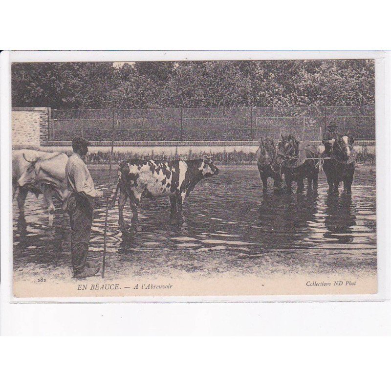 EN BEAUCE : à l'abreuvoir - très bon état