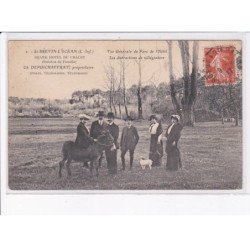 SAINT-BREVIN-L'OCEAN: grand hôtel du chalet, vue générale du parc de l'hôtel - très bon état