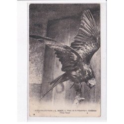 ORLEANS: L. Miot, milan royal, naturalisation - état