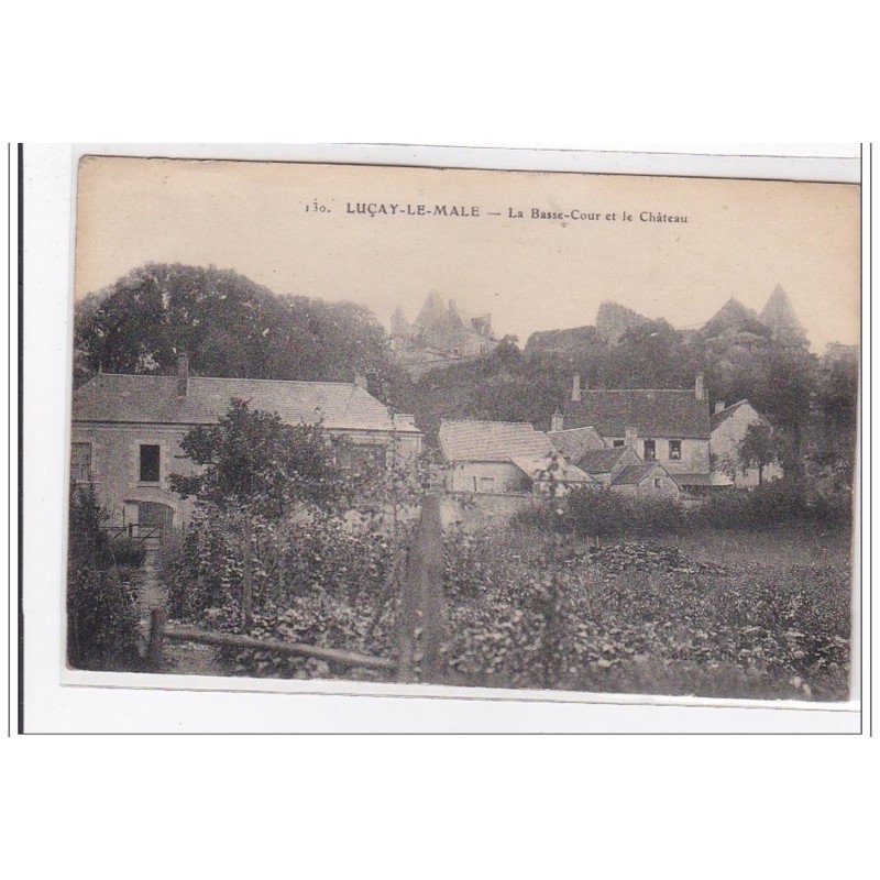LUCAY-le-MALE : la basse-cour et le chateau - tres bon etat