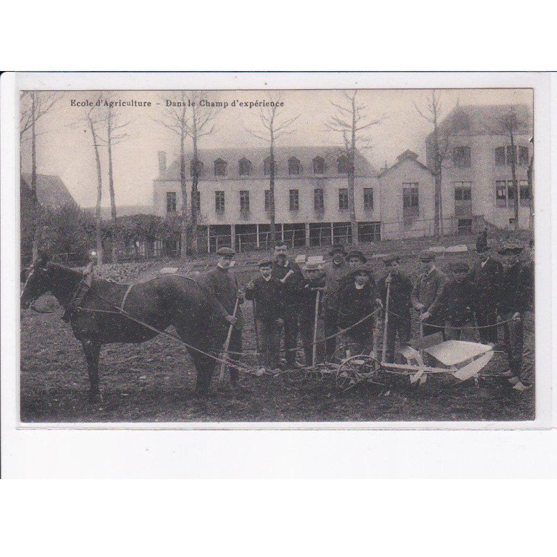 MORBIHAN: école d'agriculture, dans le champs d'expérience - très bon état