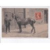 PONTIVY: vente de vaches bretonne, bidets bretons, cheval - état