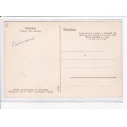 ROUMANIE: CAMPINA: castelul iulia hasdeu  ( chateau )- très bon état