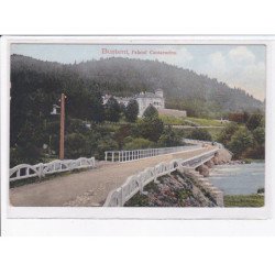 ROUMANIE: ROMANIA: busteni, palatul cantacuzino ( chateau ) - très bon état