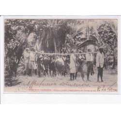 NOUVELLE-CALEDONIE: pêcheurs portant triomphalement des tortues de mer - état