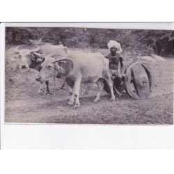 INDE: attelage, photo environs 1900 - très bon état