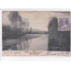 TCHEQUIE: république tcheque, tiskem a dakladem bratri norberta a ignace pokornych y tisnove 1905 - état