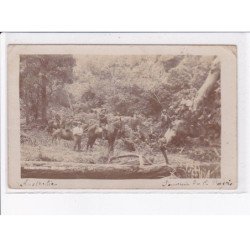 AUSTRALIE: personnages en forêt - état