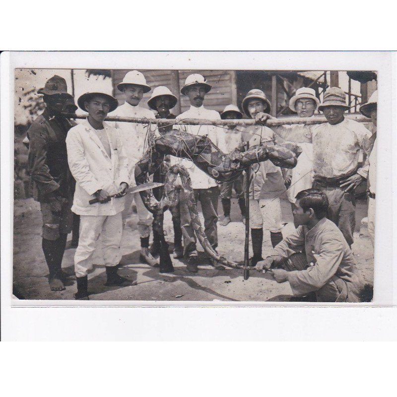 MALAYSIA: serpent - très bon état