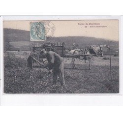 YVELINES: scène champêtre, agriculture - très bon état