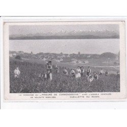 SUISSE: NEUFCHATEL: vendange prieuré de cormondrèche aimable concours soldats mobilisé cueillete raisin - très bon état